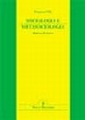 Sociologia e metasociologia. Itinerari di ricerca