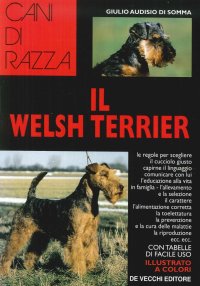 Il welsh terrier