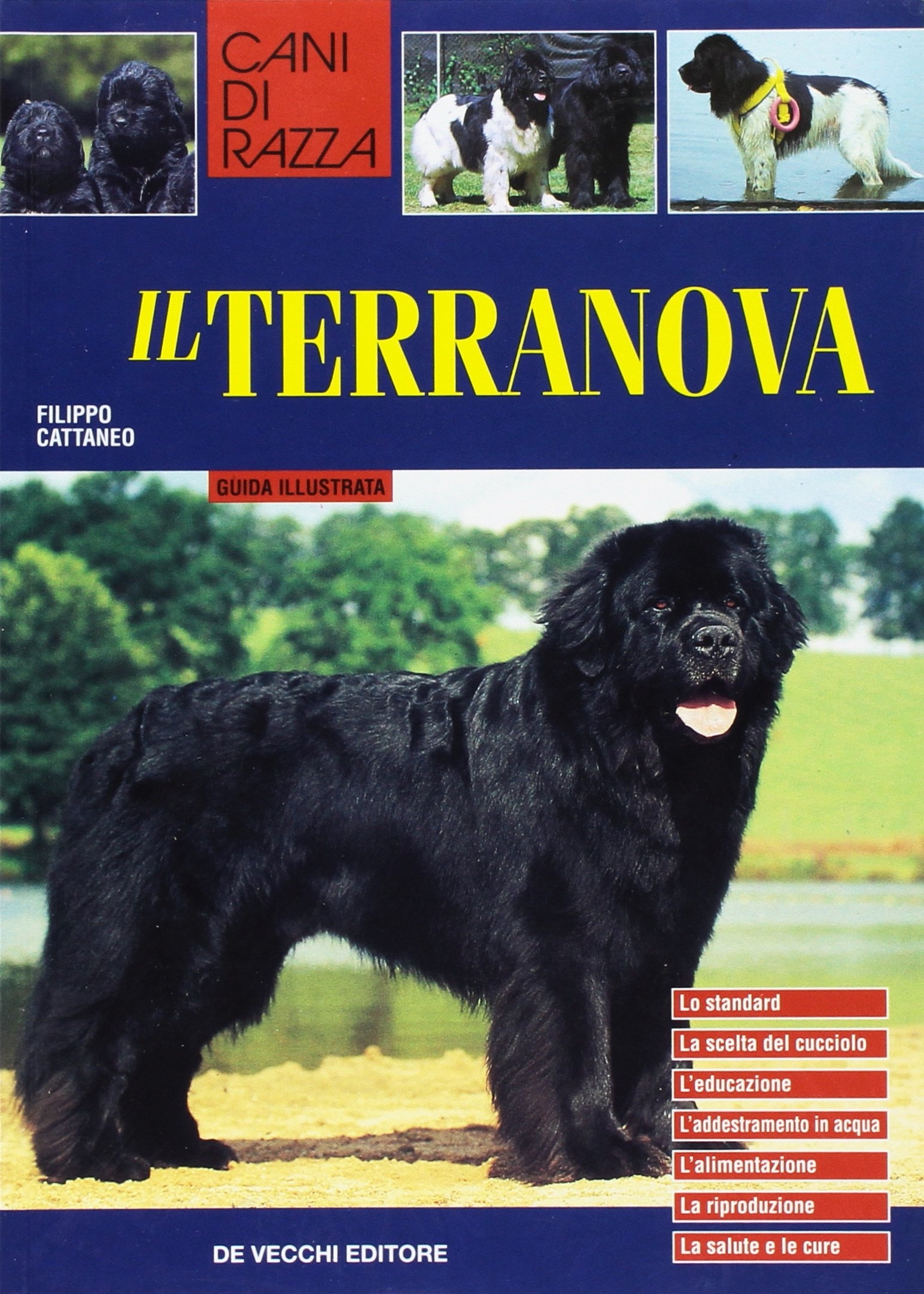 Terranova