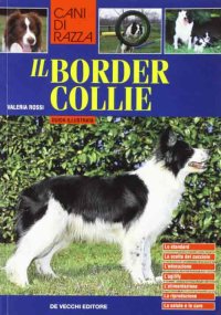 Border collie