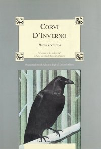 Corvi d'inverno