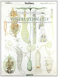 Visual zoology. The Pavia collection of Leuckart's zoological wall charts (1877). Con CD-ROM