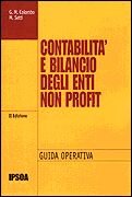 Contabilità e bilancio degli enti non profit