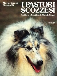 I pastori scozzesi. Collies, shetland, welsh corgi