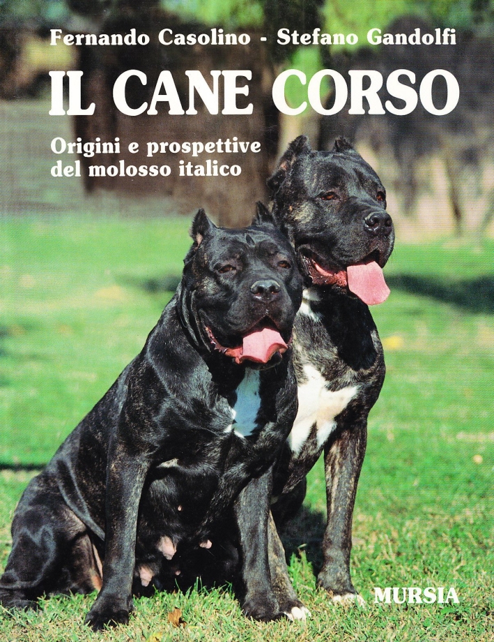 9788842521075 Casolino Fernando; Gandolfi Stefano - Il cane corso. Origini  e prospettive del molosso italico 