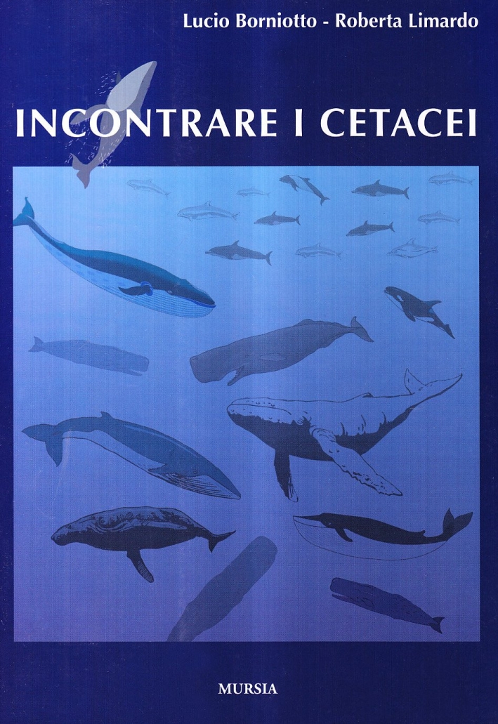 Incontrare i cetacei