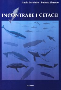 Incontrare i cetacei