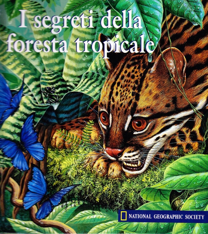 I Segreti della Foresta Tropicale I Segreti della Foresta Tropicale