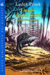 Viaggio di una pietra