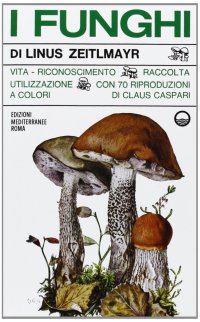 I funghi