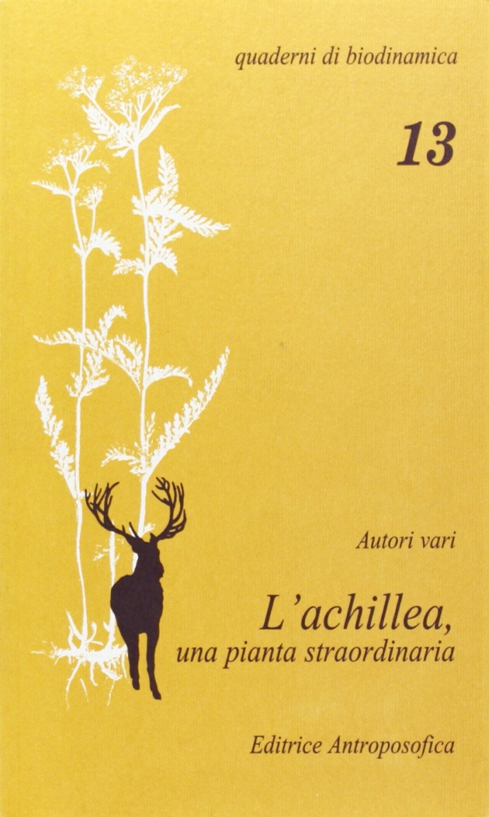 L'achillea, una pianta straordinaria L'achillea, una pianta straordinaria