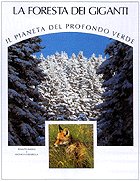 La foresta dei giganti