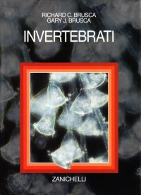 Invertebrati