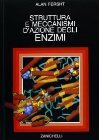 Struttura e meccanismi d'azione degli enzimi