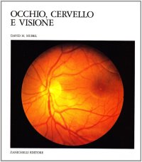 Occhio, cervello, visione