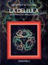 La cellula. Un approccio molecolare