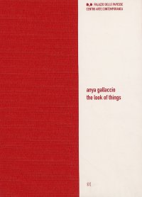 Anya Gallaccio. The look of things