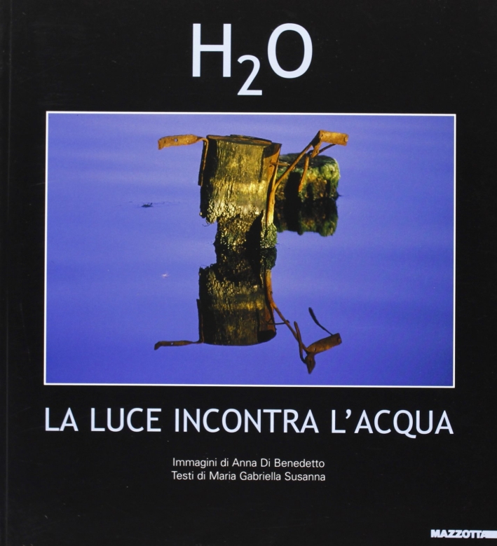 H2O. La luce incontra l'acqua. Catalogo della mostra (Roma, 10 novembre 2004-10 gennaio 2005). Ediz. illustrata H2O. La luce incontra l'acqua. Catalogo della mostra (Roma, 10 novembre 2004-10 gennaio 2005). Ediz. illustrata
