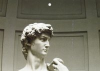 David