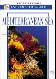 Mediterranean Sea Mediterranean Sea