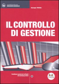 Il controllo di gestione Il controllo di gestione