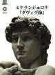 Michelangelo. Il David. [Japanese Ed.]
