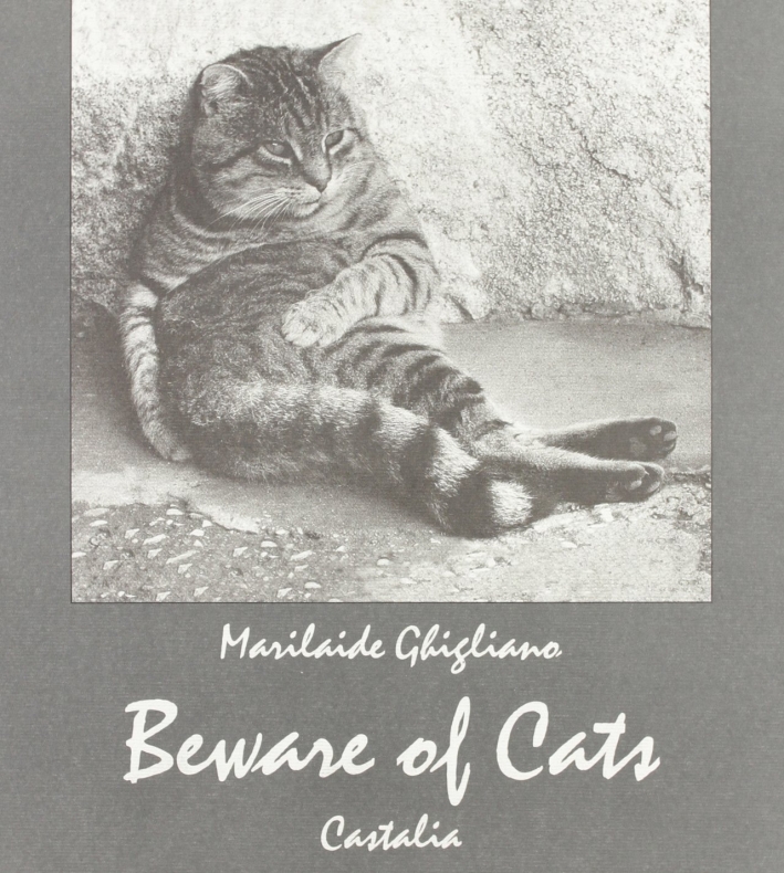 Beware of cats Beware of cats