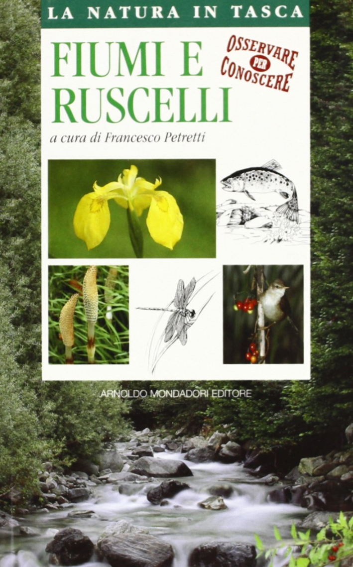 Fiumi e ruscelli Fiumi e ruscelli