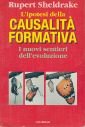L'ipotesi della causalità formativa