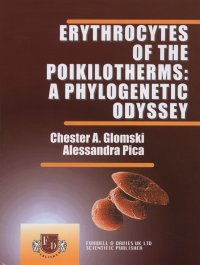 Erythrocytes of the poikilotherms: a phylogenetics odissey