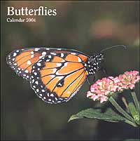 Butterflies. Calendario 2004 Butterflies. Calendario 2004