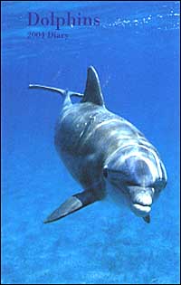 Dolphins. Agenda settimanale 2004 piccola Dolphins. Agenda settimanale 2004 piccola