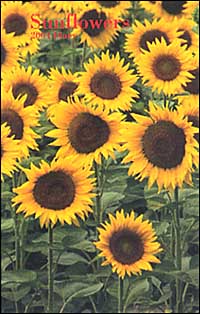 Sunflowers. Agenda settimanale 2004 piccola Sunflowers. Agenda settimanale 2004 piccola