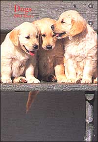 Dogs. Agenda 2004 Dogs. Agenda 2004