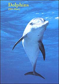 Dolphins. Agenda 2004 Dolphins. Agenda 2004