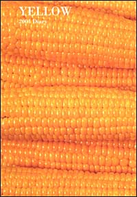 Yellow. Agenda 2004 Yellow. Agenda 2004