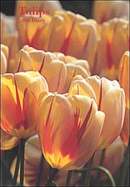Tulips. Agenda 2004 Tulips. Agenda 2004