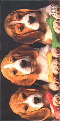 Dogs. Agenda settimanale 2004 orizzontale Dogs. Agenda settimanale 2004 orizzontale