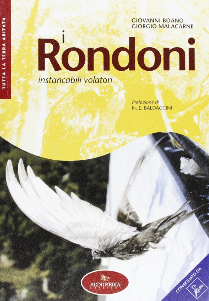 I rondoni instancabili volatori I rondoni instancabili volatori