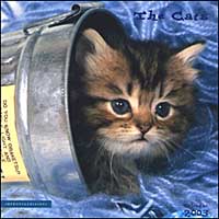 The Cats. Calendario 2003 The Cats. Calendario 2003