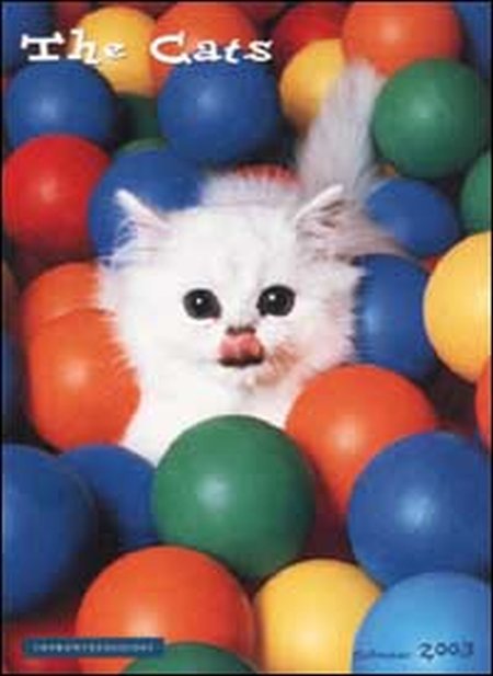 The Cats. Calendario 2003 The Cats. Calendario 2003