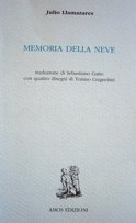 Memoria della neve