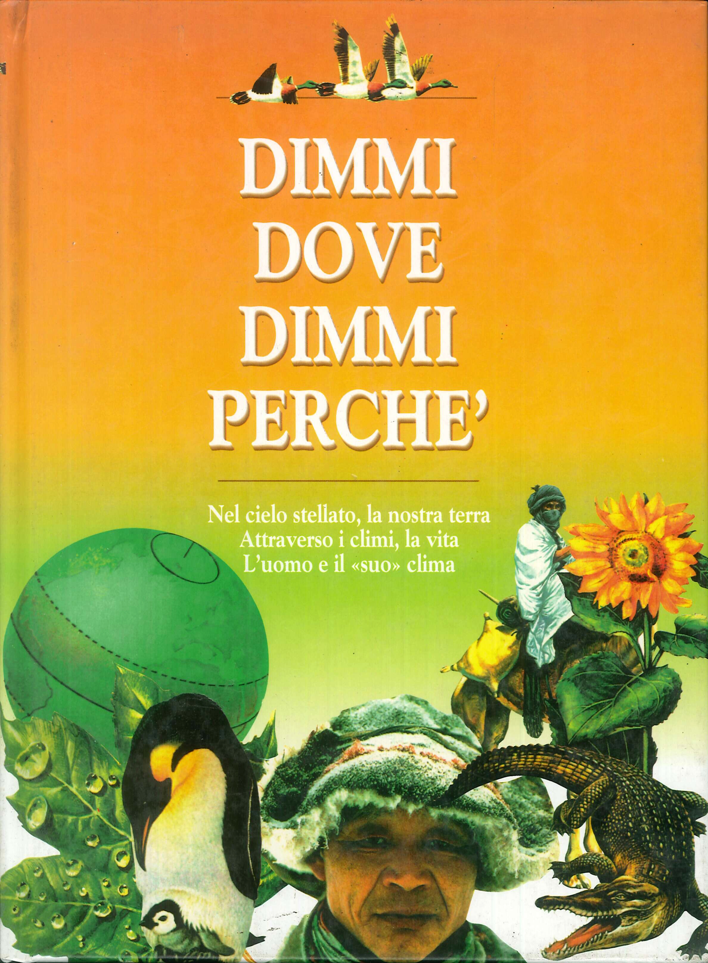 Dimmi dove dimmi perché