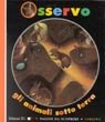 Osservo gli animali sotto terra