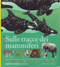 Sulle tracce dei mammiferi