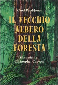 Il vecchio albero della foresta Il vecchio albero della foresta
