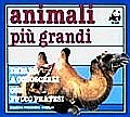 Animali più grandi Animali più grandi