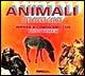 Animali dei paesi caldi Animali dei paesi caldi