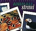 Animali strani Animali strani