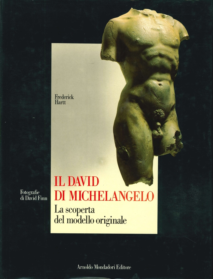 Il David di Michelangelo. La scoperta del modello originale Il David di Michelangelo. La scoperta del modello originale